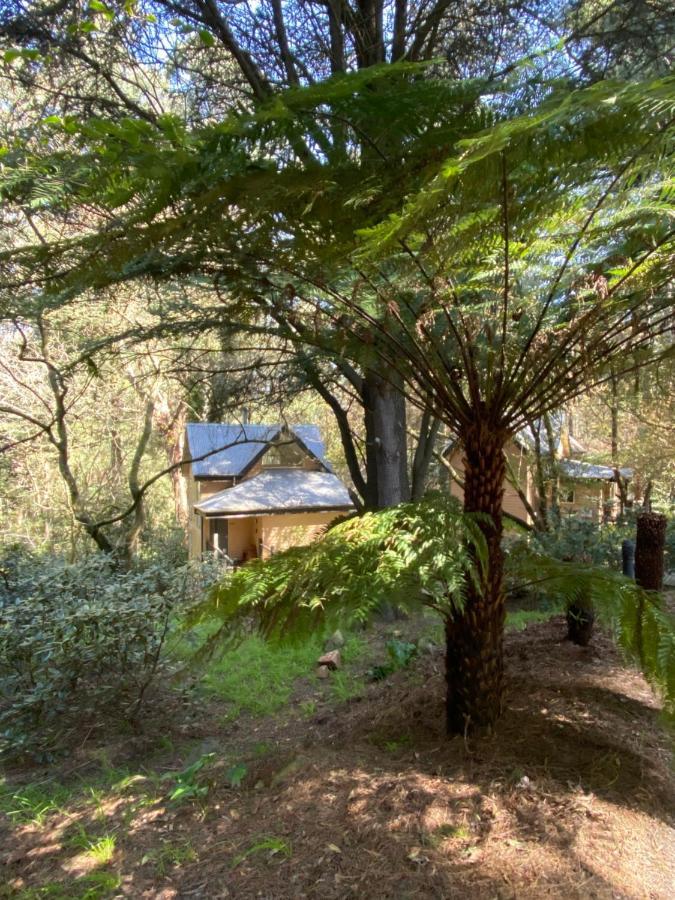 Lochiel Luxury Accommodation Olinda Exterior foto