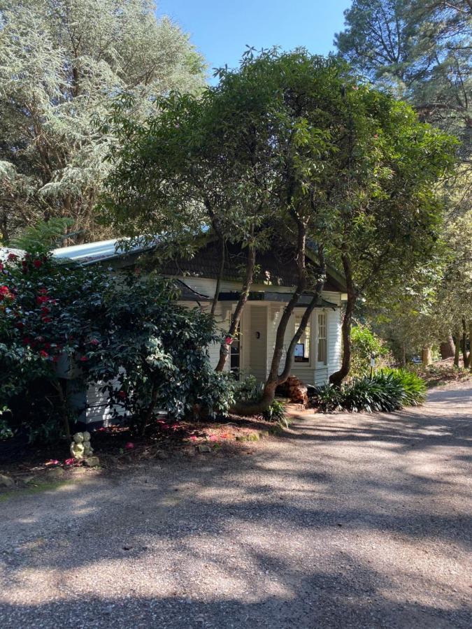 Lochiel Luxury Accommodation Olinda Exterior foto
